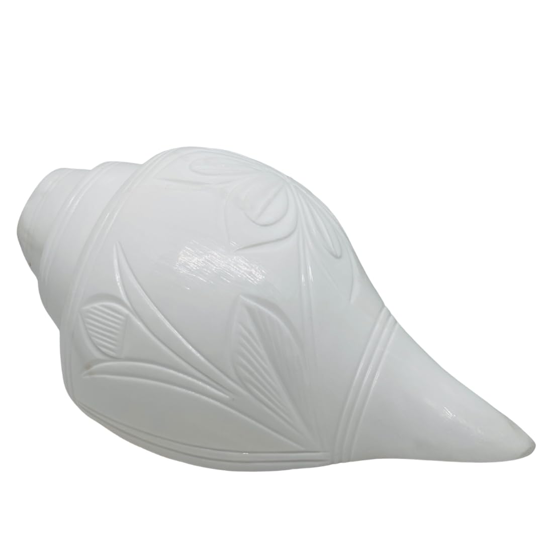 Blowing Shankh Original Conch Shell for Pooja Yoga Meditation White Glossy Finish Natural Artisan Crafted