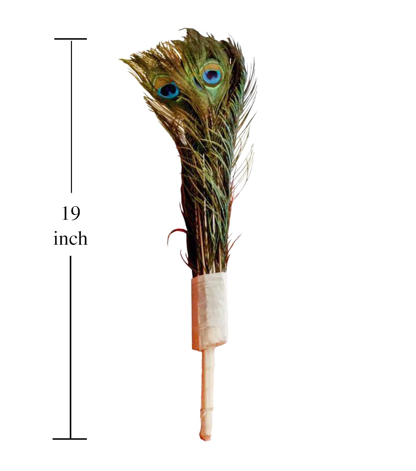 Mor Pankh Broom Pavitra Real Peacock Feathers Moor Pankha Broom Jhadu for Mandir Cleaning
