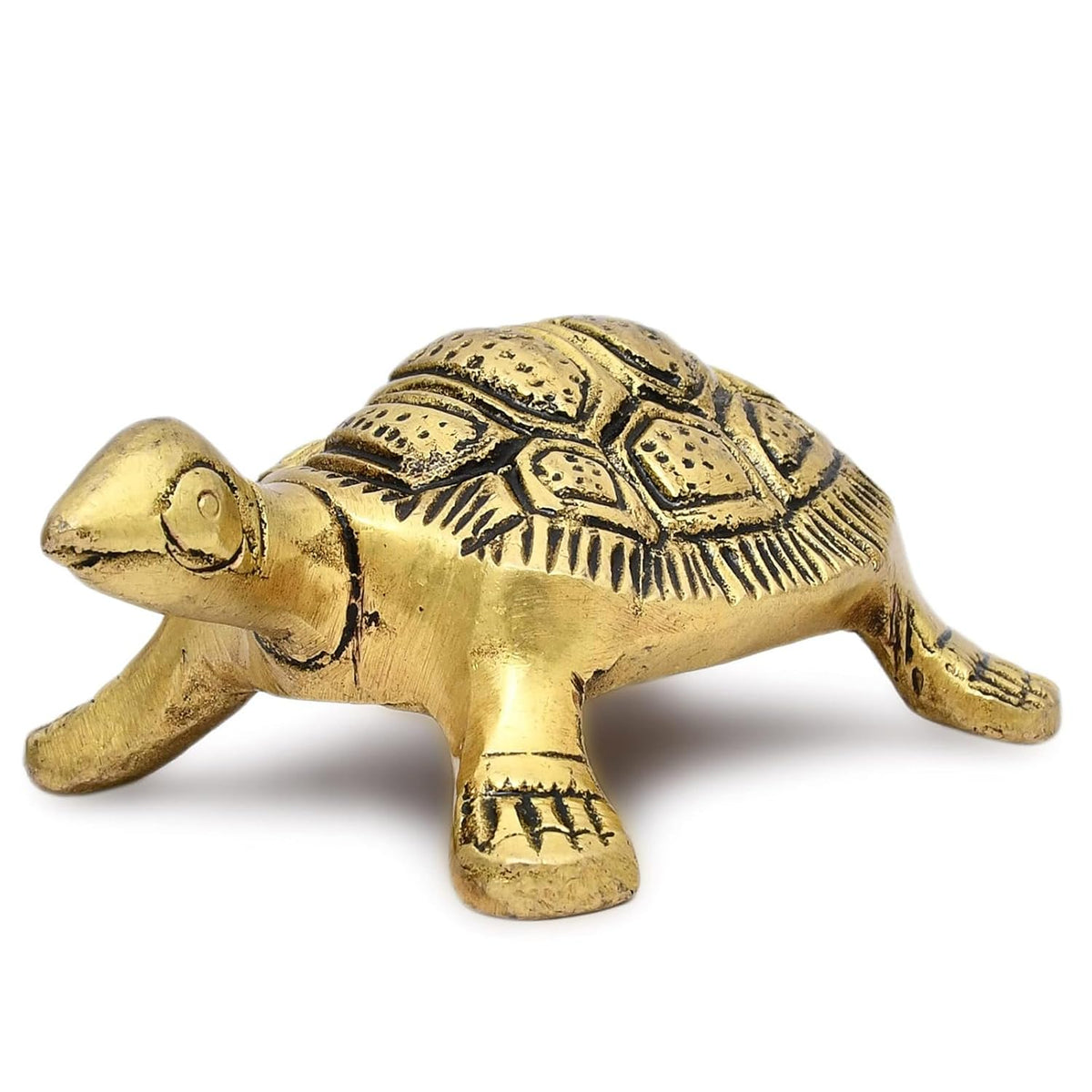 Kachua No.1