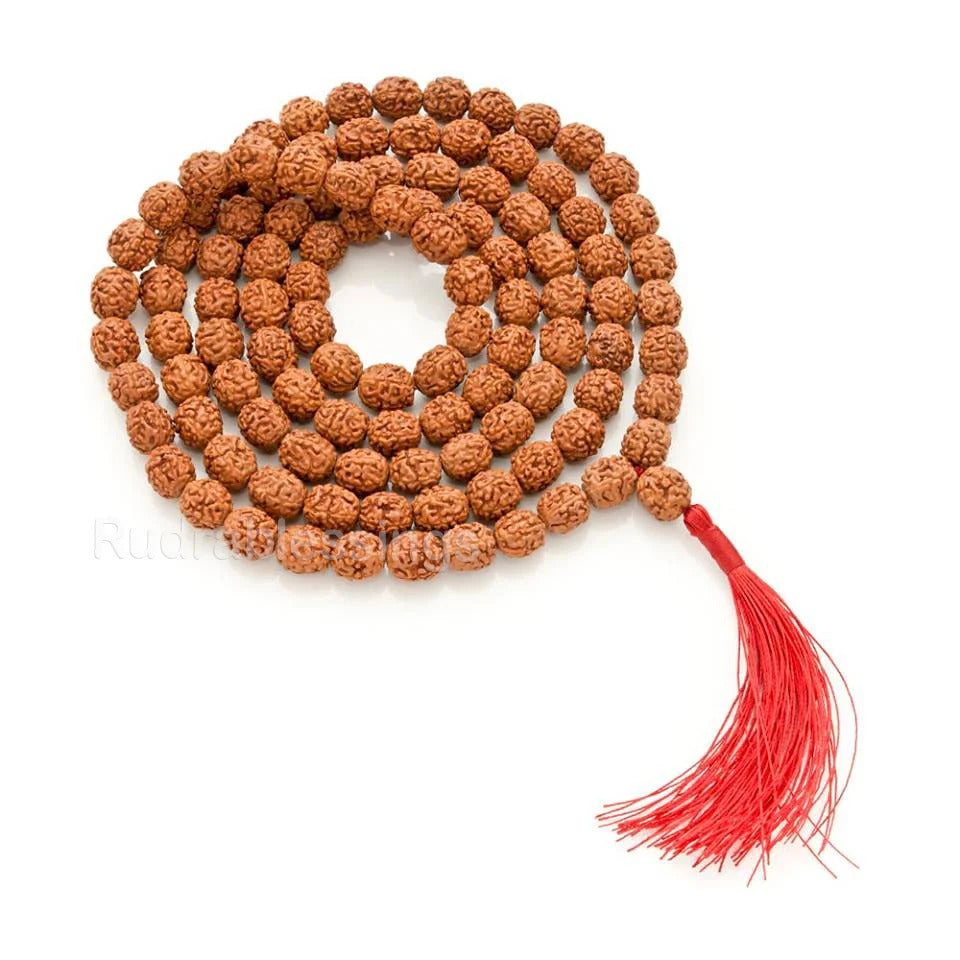 Rudraksha Mala Original for Wearing and Japa Mala 10 mm to 12 mm in diameter