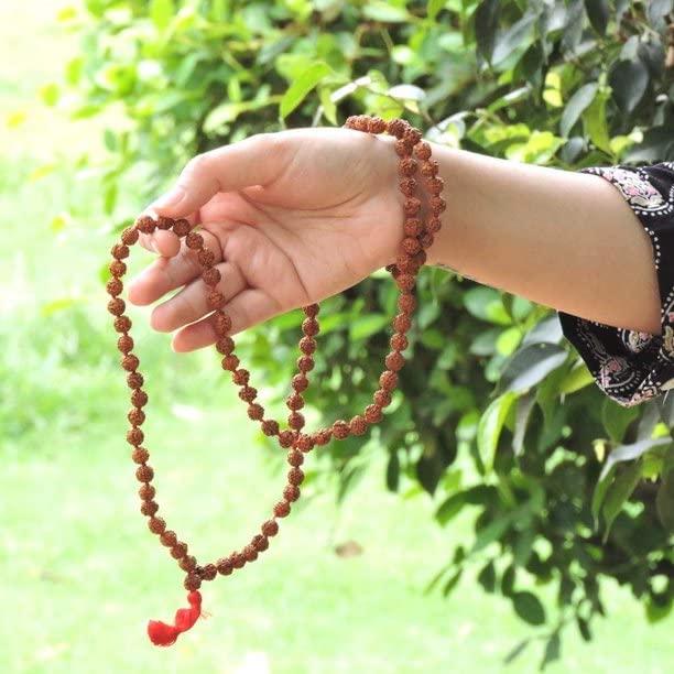 Rudraksha Mala Original for Wearing and Japa Mala 10 mm to 12 mm in diameter