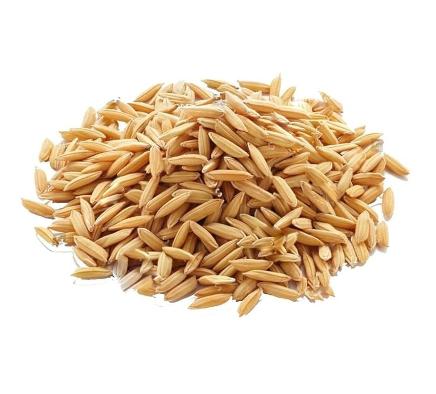 Dhaan 10g