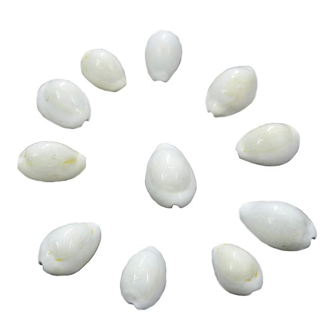 White Kodi 11 Pcs