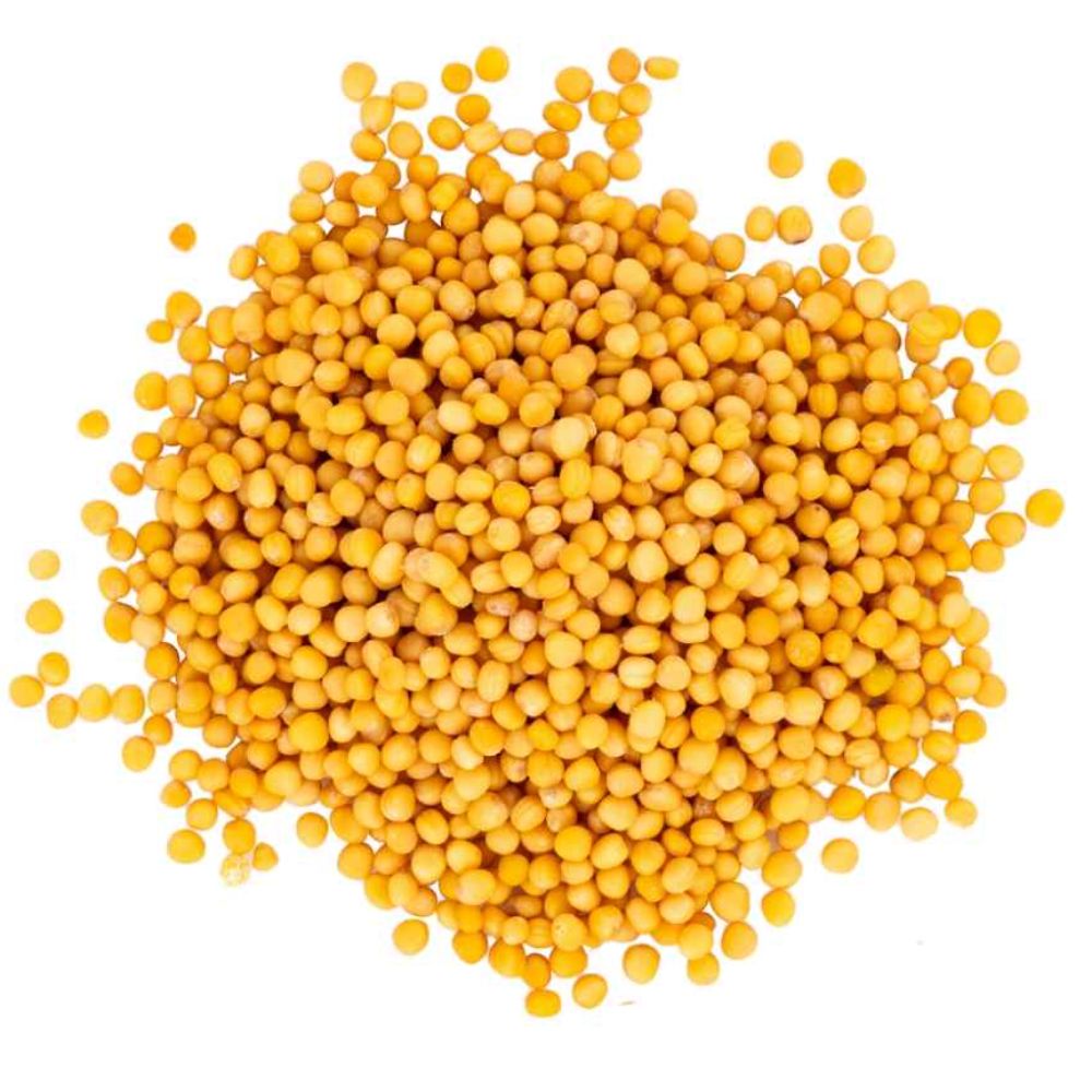 Yellow Mustured 10g