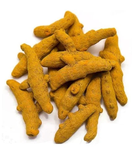Gota Holud
