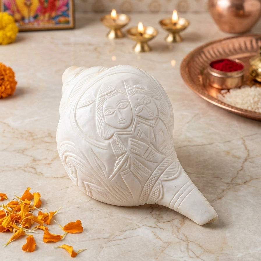 Shankha Premium Large 10 Inch