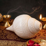 Shankha Regular Original Blowing Shankh, Natural White Conch Shell, Hand Carved Design