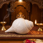 Shankha Regular Original Blowing Shankh, Natural White Conch Shell, Hand Carved Design