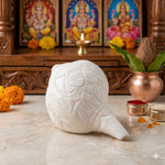 Shankha Premium Large 10 Inch