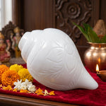 Shankha Regular Original Blowing Shankh, Natural White Conch Shell, Hand Carved Design