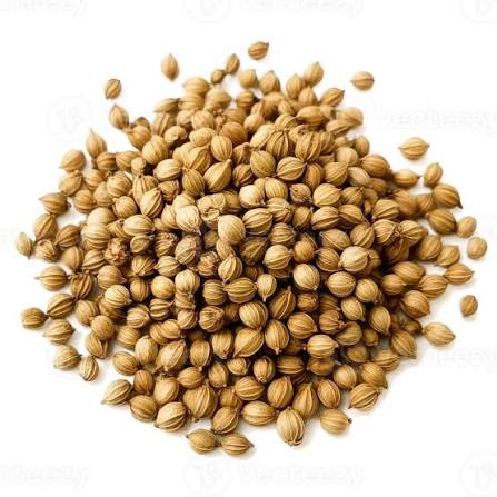 Coriander 50g Whole Organic Coriander Seeds