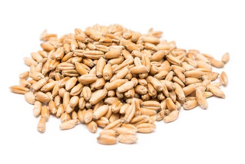 Wheat 10g