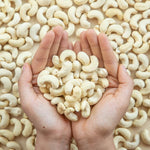 Cashew Whole 100g